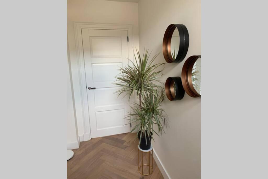 Charming Private Guesthouse Air By The Beach Zandvoort Esterno foto